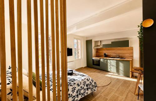 Studio proche Cancéropôle et Univ Jean Jaurès - Foto 11