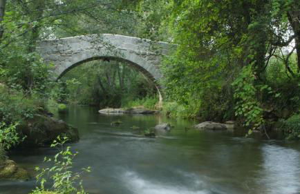 Quinta de Silharezes, Lda - Foto 46