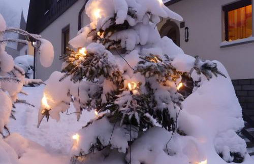Gemütliche Ferienwohnung in Holzhau - Foto 21