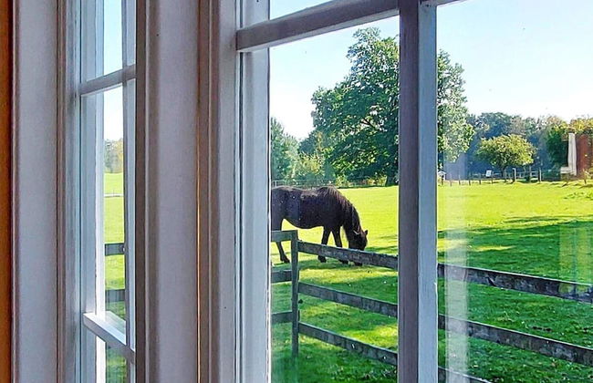 4 Person Holiday Home in Bolmso - Foto 11