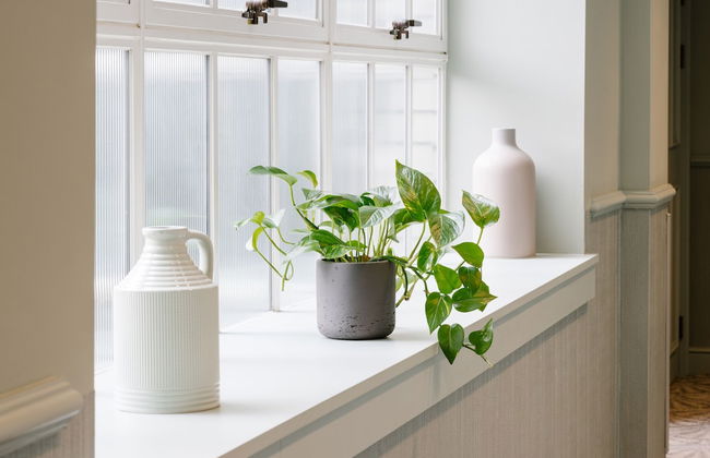 Native Glasgow - Photo 70