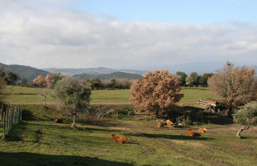 Farmhouse Tuscany - Foto 6