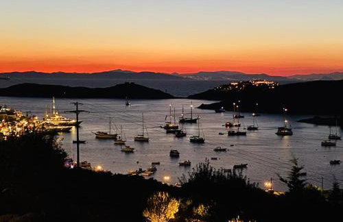 Villa Faros Vourkari Kea with private pool and stunning views - Foto 21