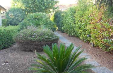 Il Gelsomino - Foto 17