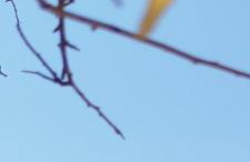 Nereids Apartments-Pronoe - Foto 1