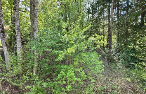 Design-Apartment am Wildbach mit Bergblick & direktem Zugang zur Natur - Photo 13