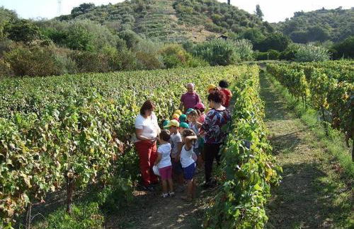 Agriturismo Parra - Foto 96