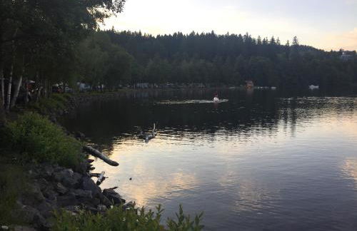 Titisee Haus Vogelnest - Photo 53