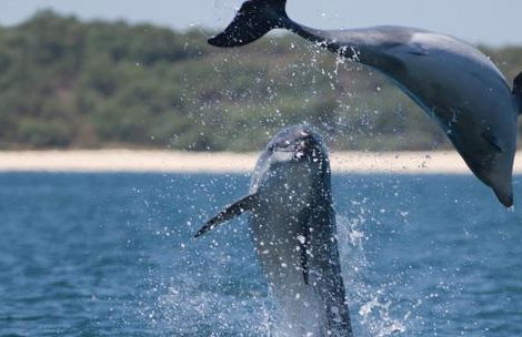 Villa Alegre - Foto 38