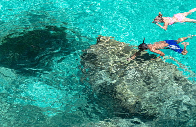 Snorkel en Puerto Addaya - Foto 14