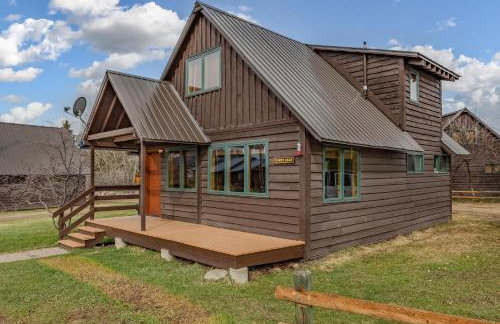 Honey Bear - Foto 19