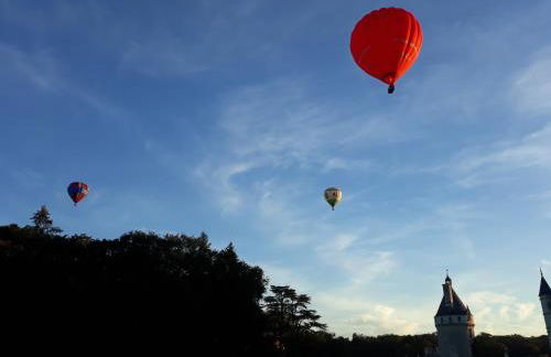 Gite La Vigneronne en Touraine - Foto 16
