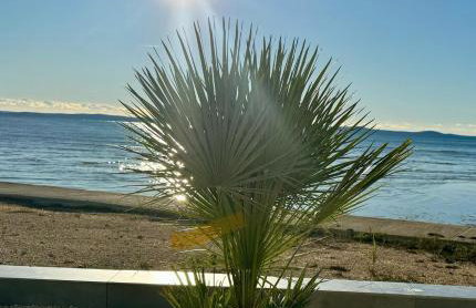 JamC Dream Familientraum direkt am Meer mit beheiztem Pool - Photo 48