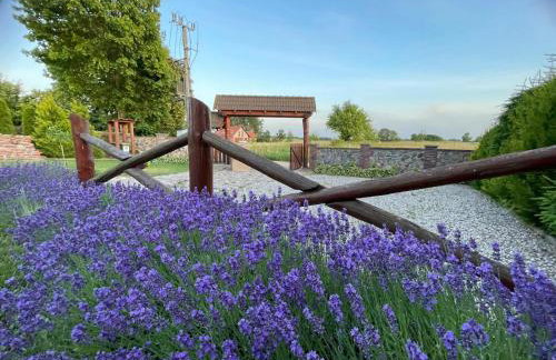 Lawendowy Zakątek Domek Całoroczny z Jacuzzi i Sauną - Foto 43