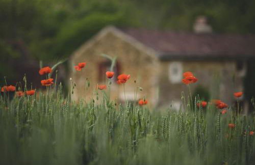 Le Pressoir - domaine du Chateau de La Bourlie - Boutique villa up to 12 guests - Foto 31