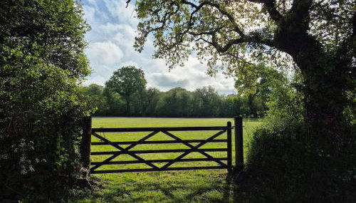 The Granary -Trewen - Foto 3