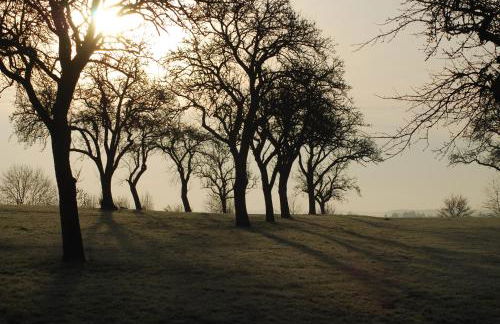 Living-in-History: Heidi Braun Cottage - Foto 11