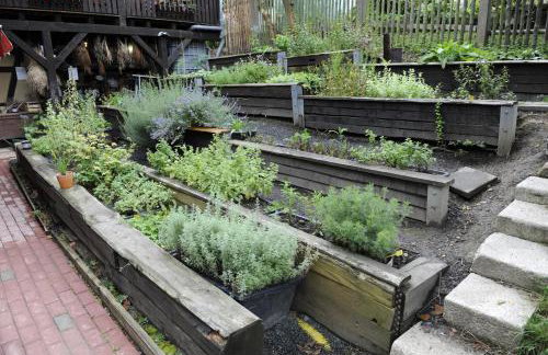 Lehmhof-Lindig - Foto 14