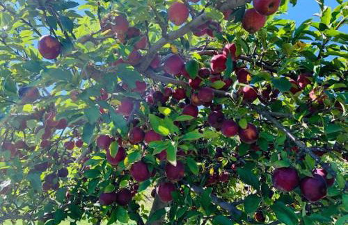 Unique Fully Restored Landmark Barn in Hudson - Foto 54