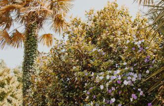 Quinta Do Padrao - Foto 44