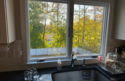 Boston Single Family House - 19' Train to Back Bay - Foto 38