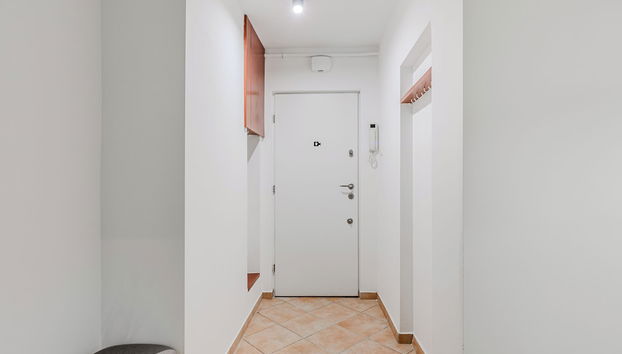 Lumina opposite the Palace of Culture - Foto 2, Entrada interior