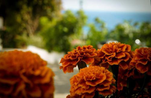 Fotini's Apartments - Pelekas Beach - Foto 18