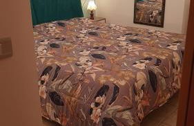 Primavera azzurra - Photo 11