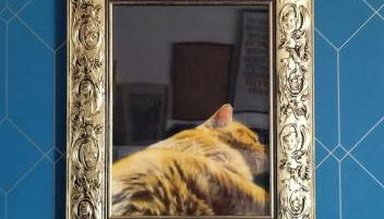 Domus Vesuvinum Secret House - Foto 3