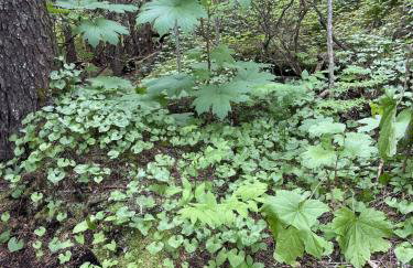 Stunning Waterfront Condo Breathtaking Views 202 - Foto 25