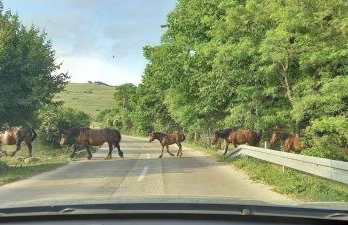 Prigorka, a fairytale house - Foto 55