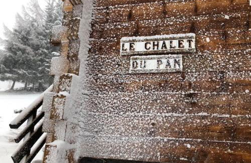 CHALET 6 PERSONNES SUR PISTE - Foto 4