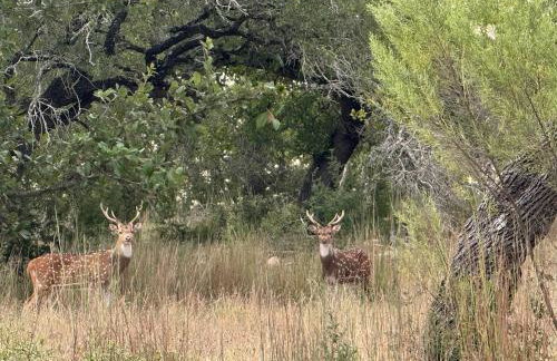 Texas Hiil Country Retreat, Bulverde - Foto 39