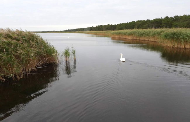 6 Person Holiday Home in Vig - Foto 28