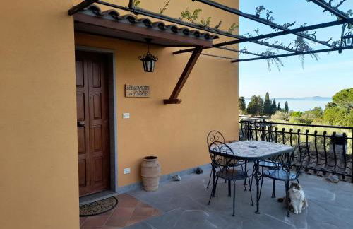 CASA VACANZE ANTICA VOLSINII - Foto 41