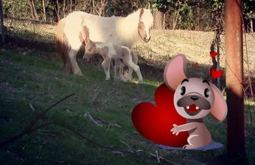 Country House Il Piancardato - Photo 4