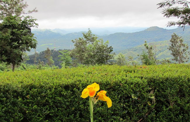 Aigburth Villa - Photo 1