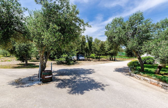 Apartments Glavor - Foto 40