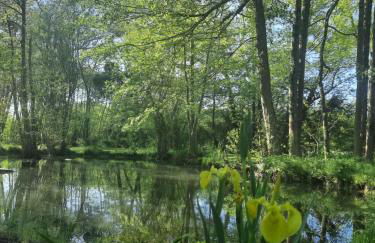 Moulin de Janlard - Foto 23