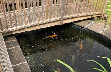 Rest & Recharge - Koi House - Foto 65