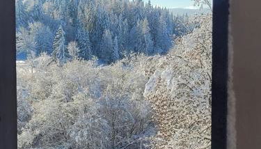 LE CHALET des 3 Sapins, Superbe Duplex Montagnard avec balcon, au calme - Les Rousses, Draps inclus & Parking gratuit - Foto 3