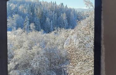 LE CHALET des 3 Sapins, Superbe Duplex Montagnard avec balcon, au calme - Les Rousses, Draps inclus & Parking gratuit - Foto 3