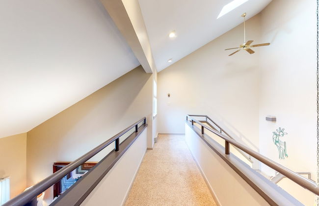 Timber Run - Foto 75