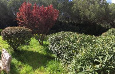 Entre mer et mer - Foto 18