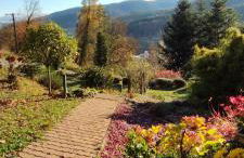 Chalet au bois des écureuils classé trois étoiles. - Foto 16