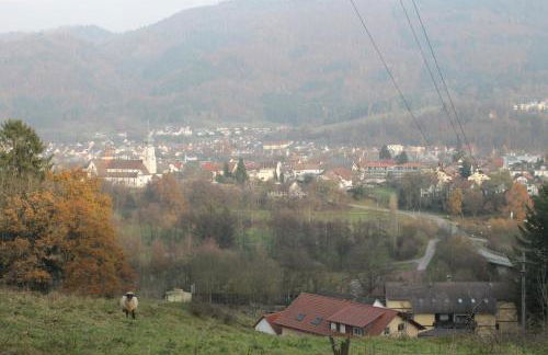 Wehr Orchidee Apartment - Foto 37