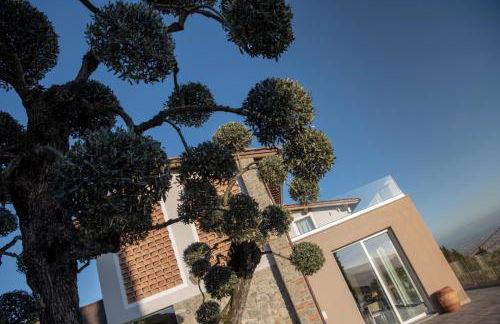 Villa l'Uliveta - Foto 33