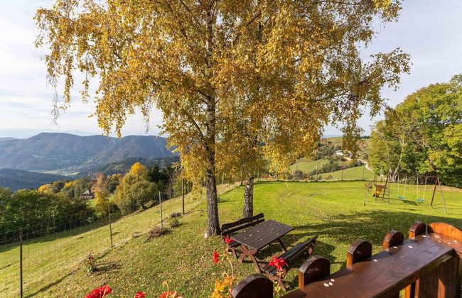 Chalet in Eberstein Near Saualpe Ski Area - Foto 29