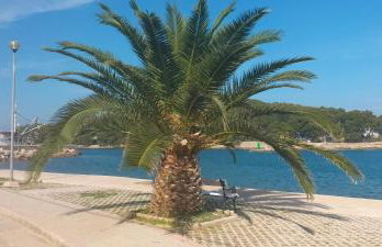 Apartman Hanna - Foto 22