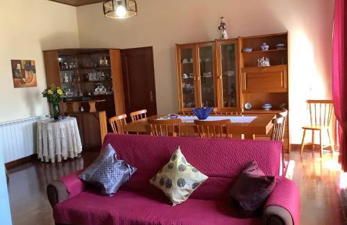 Casa das Camélias - Foto 43